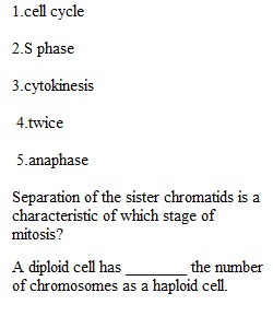 Lecture Exam 2